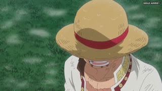 ワンピースアニメ WCI編 810話 ルフィ かっこいい Monkey D. Luffy  | ONE PIECE Episode 810