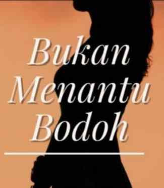 Novel Bukan Menantu Bodoh Karya Melysa Full Episode