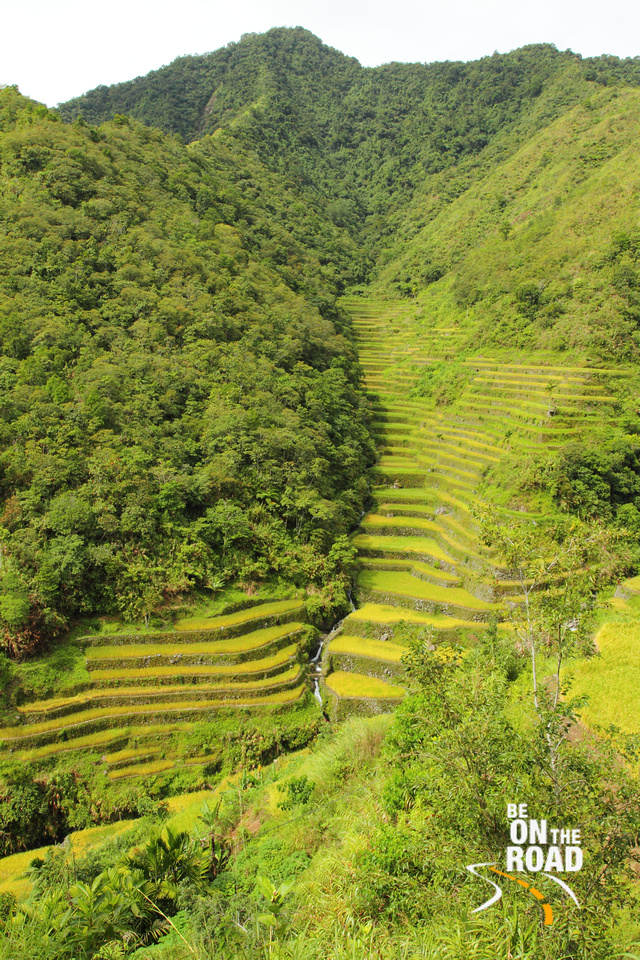 Beautiful rice terraces of Northern Philippines