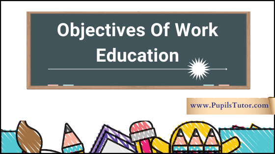 What Are The Aims And Objectives Of Work Education? | Explain Work Education Goals - Cognitive, Affective And Psychomotor | Purpose Of Work Education - pupilstutor