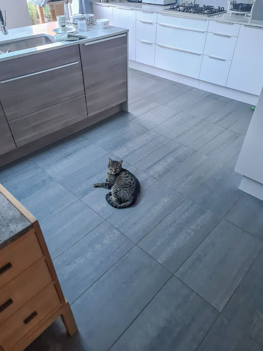 Domestic cats prefer underfloor heating to radiators