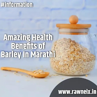 Barley In Marath