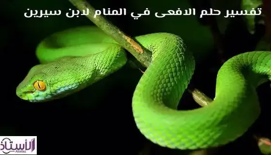 Interpretation-seeing-snake-dream