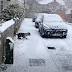 Tiny dog has never seen snow, warms hearts with his one-of-a-kind
reaction