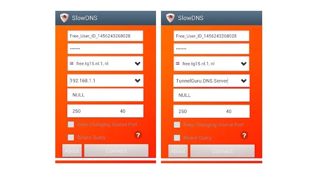 Free Download SlowDNS Internet Accelerator