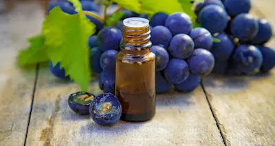 ما هو زيت بذور العنب و ما هي  الفوائد صحية في مجال التجميل Grape seed oil