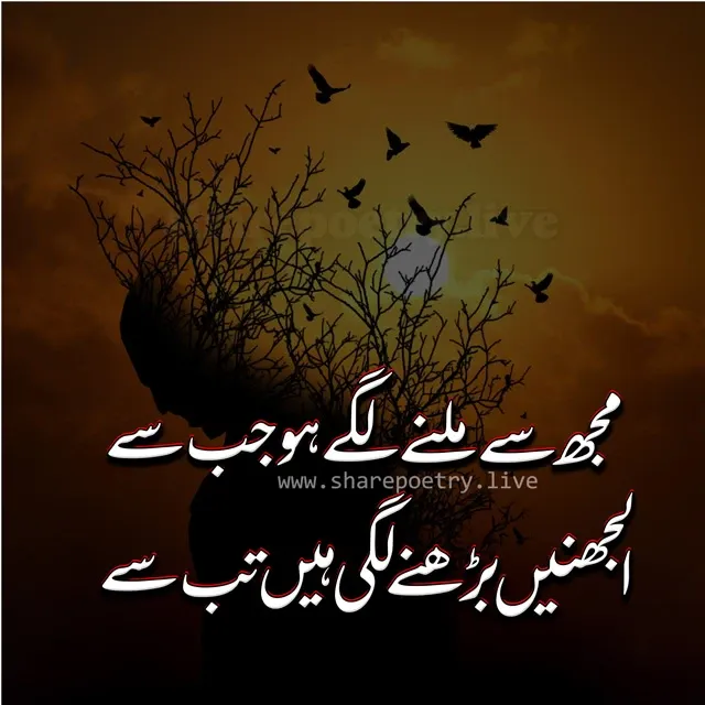 Sad Poetry For Boys in Urdu - Silent Boy Urdu Poetry