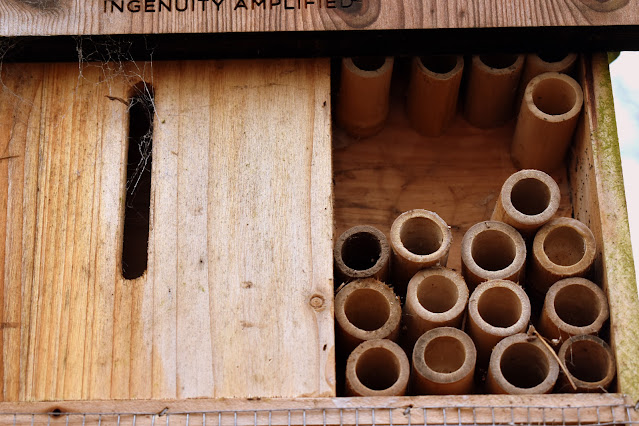 Wooden tubes in Bug House