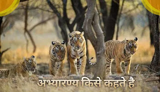 अभयारण्य किसे कहते हैं - wildlife sanctuary in india