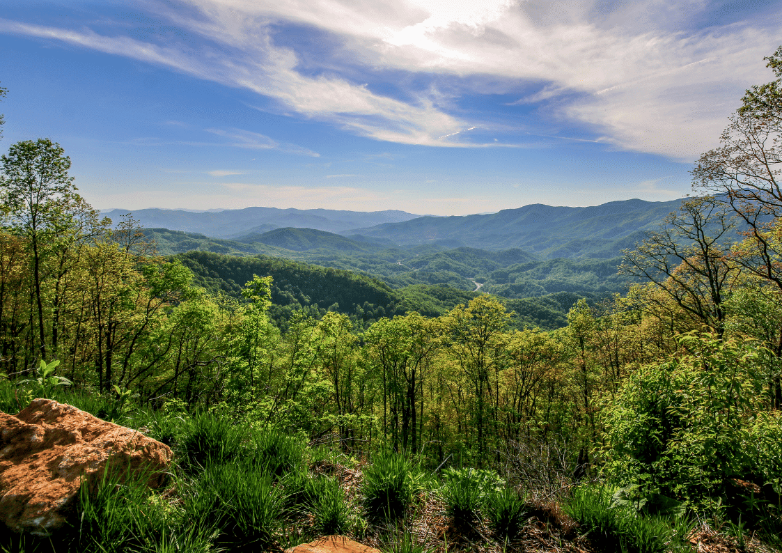 Guide to Camping in the Great Smoky Mountains, greens