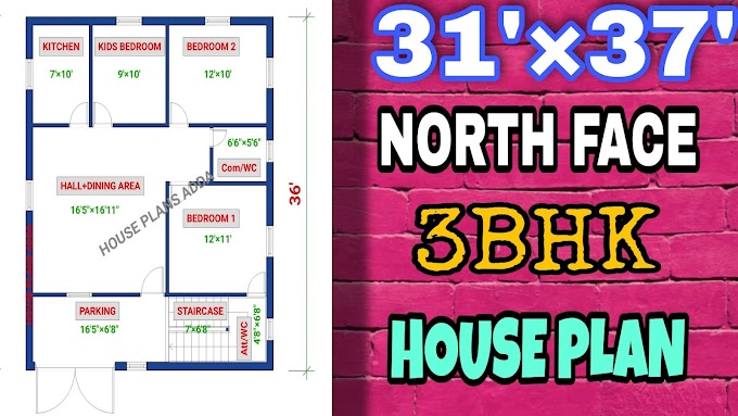 Best 31 × 36 North Facing House Plan | 3BHK House Plan as per Vastu 