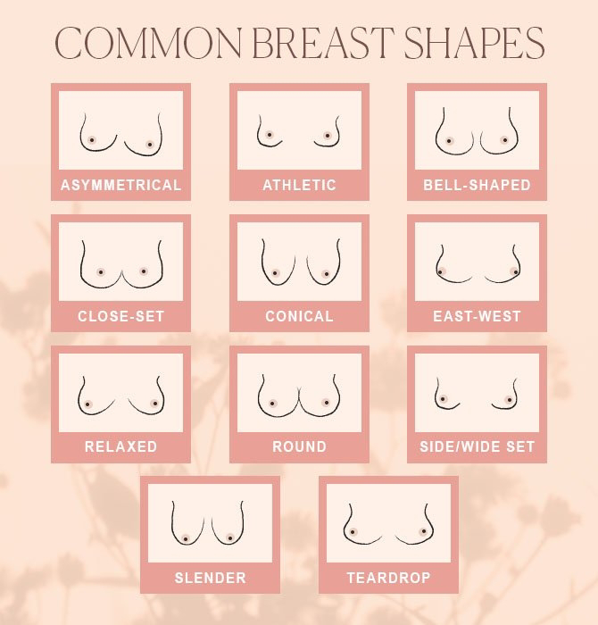 Best Boobs: An In-depth Look at Size, Types, and Enhancement