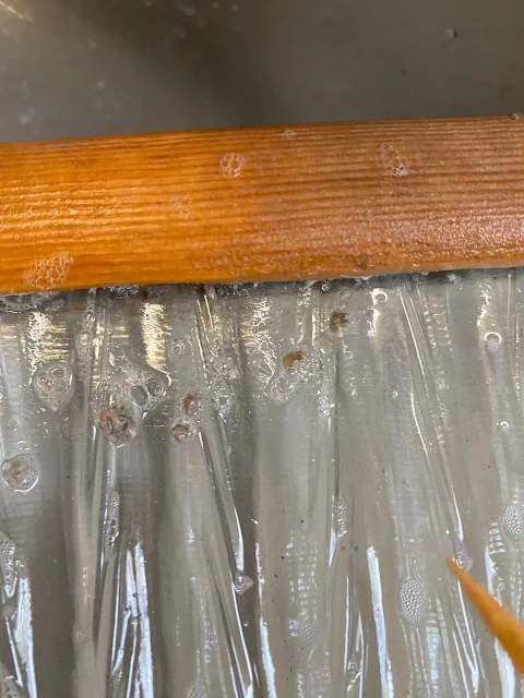 Photo of a wooden shish kabob skewer being used to clean lint out of a vintage washboard.