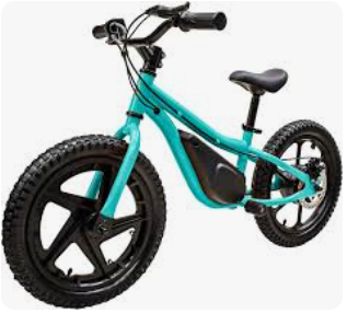 electric bike dirt