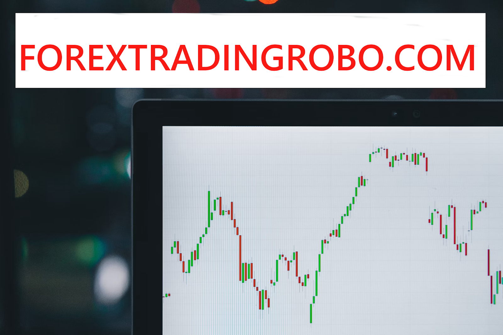 Forex algorithmic Statistical AI Trading PIP Manual Plan Program Robo Method