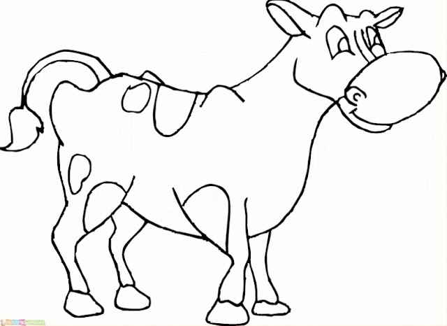 cow pictures for kids