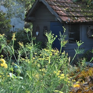 Herbstzauber im Garten