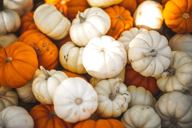 Pile of orange, white pumpkins on top of one another