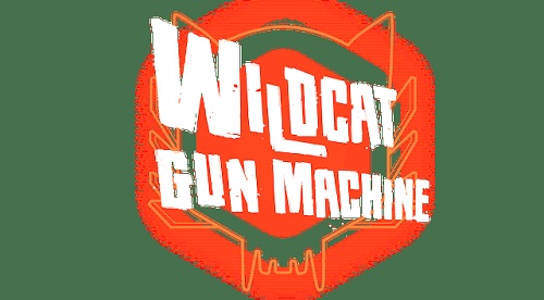 Does Wildcat Gun Machine Support Co-op Multiplayer?