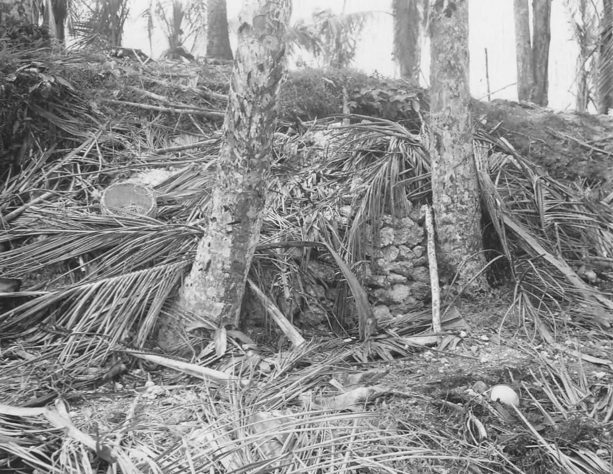 Captured Japanese Pillbox Beach Of Biak 1944photo