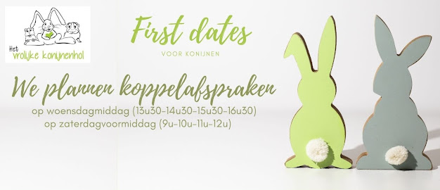 First dates voor konijnen