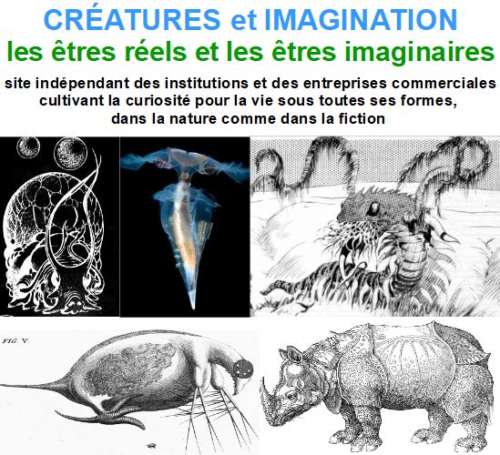 CRÉATURES et IMAGINATION :  les êtres réels et les êtres imaginaires