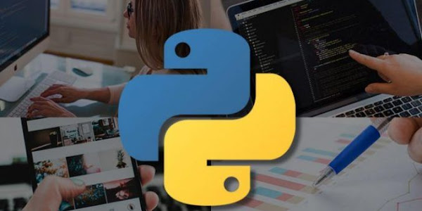 Learn Python In 100 Days | Become Python Professional Programmer Free