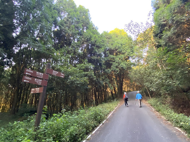 金龍山步道