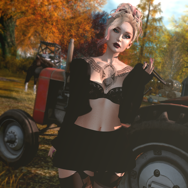 Country Manners