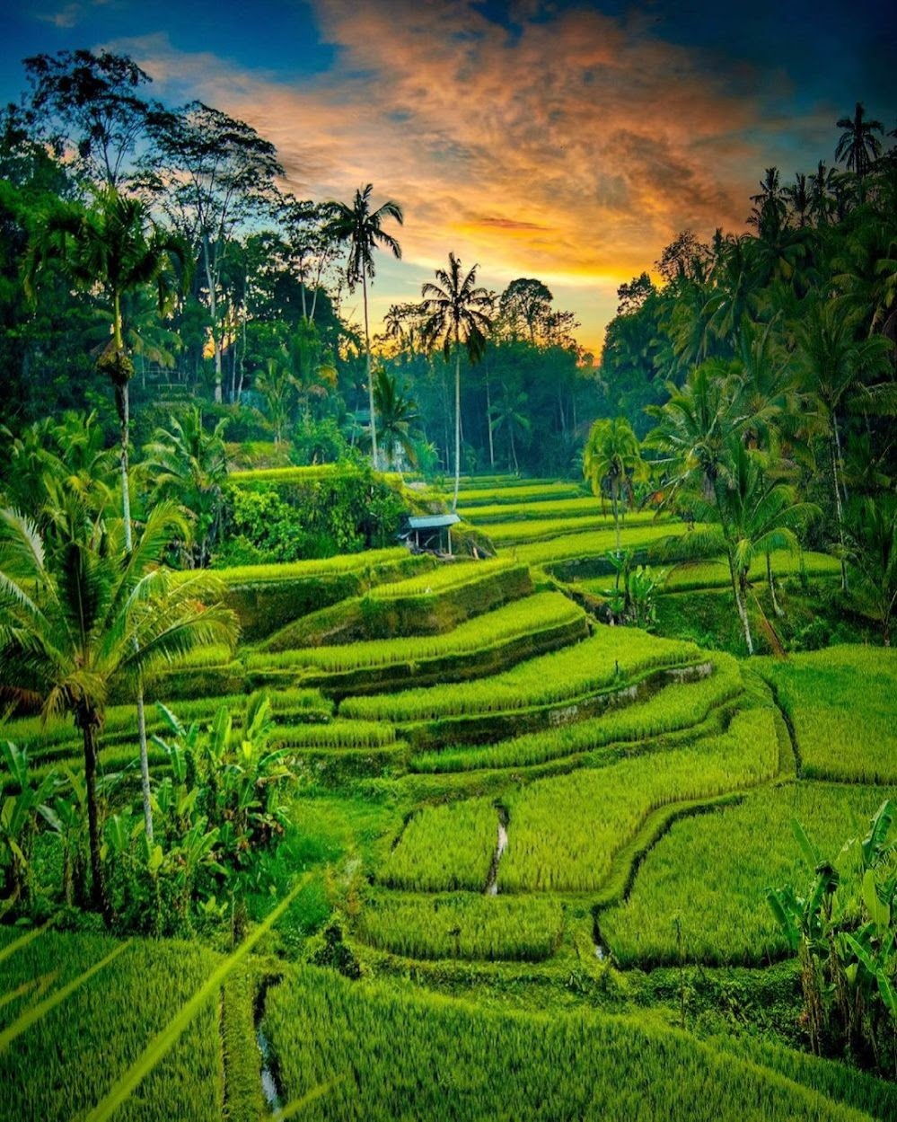 Image Slider 1