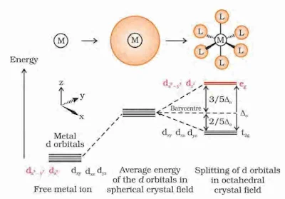 Coordination Compounds Chemistry Class 12 Notes