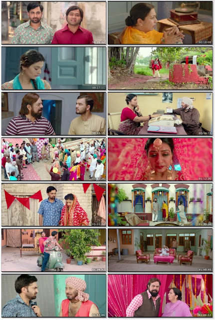 Marriage Palace 2018 Punjabi Movie in WEBRip
