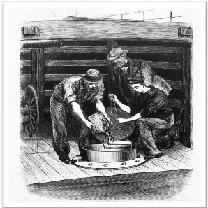 Fumigating the Ship’s Hold”, Frank Leslie’s Weekly, September 21, 1878.