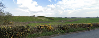 View of greenbelt land from Whitfield Lane in Barnston.