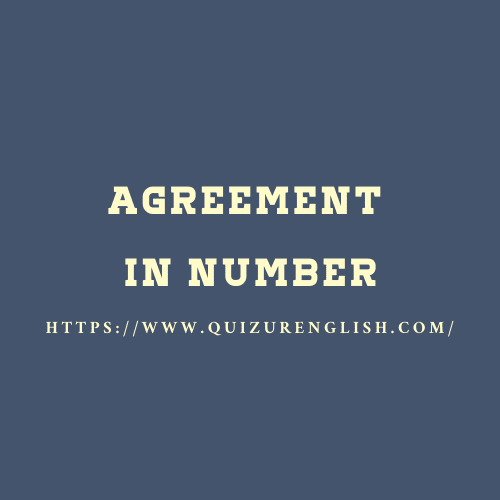 Agreement in Number