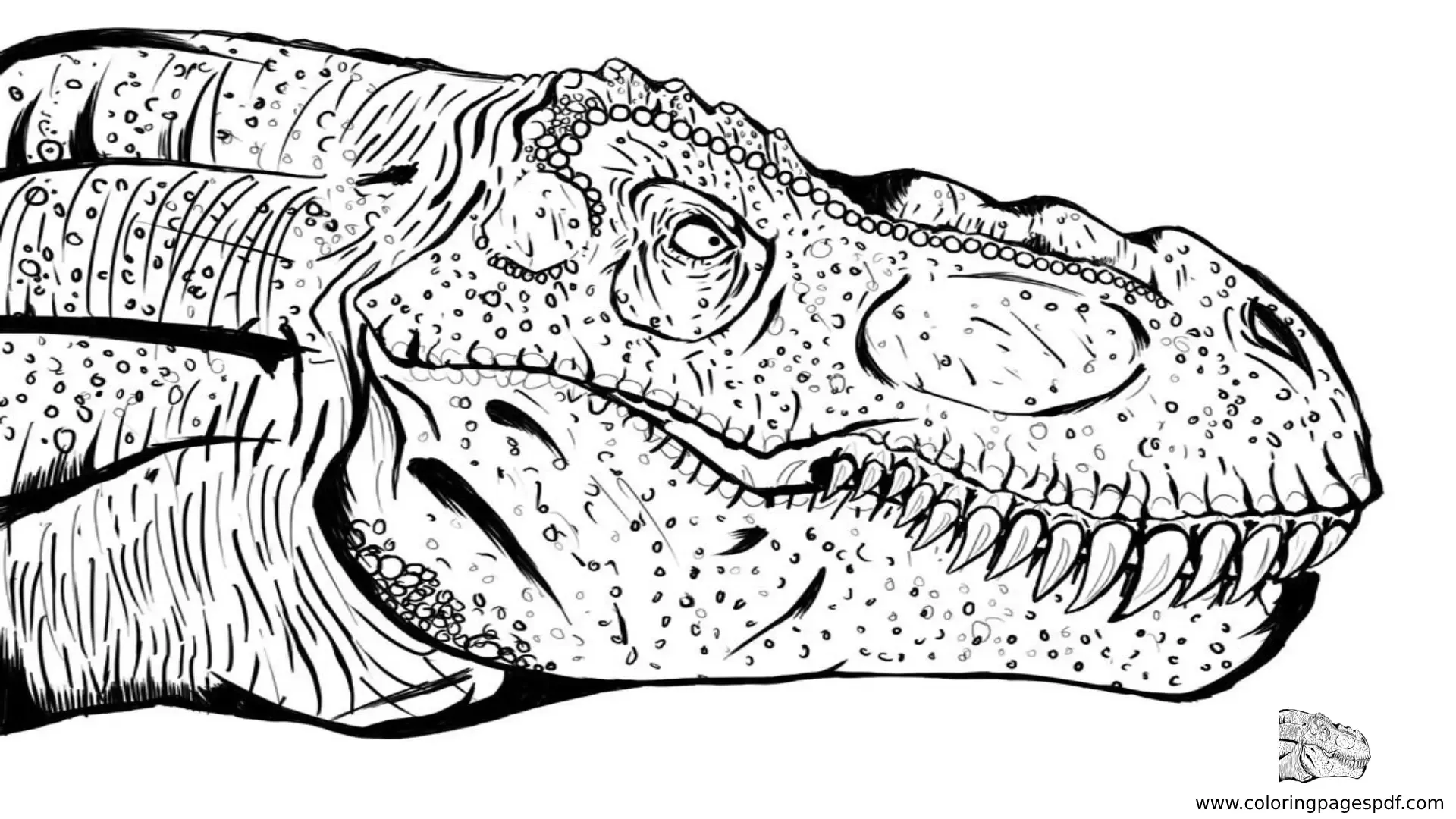 Coloring Pages Of A Detailed T Rex Head