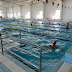 VILA DE REI: Inscrições aberta para novo ano letivo da Piscina Coberta de Aprendizagem