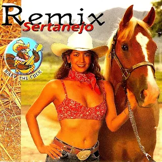 Remix Sertanejo - Vol.1