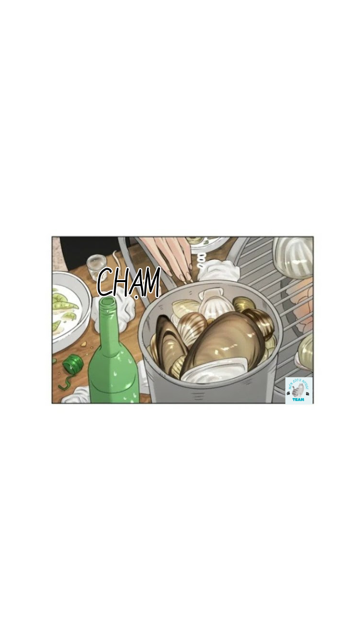 Đọc truyện Chàng trai sò - Chapter 1