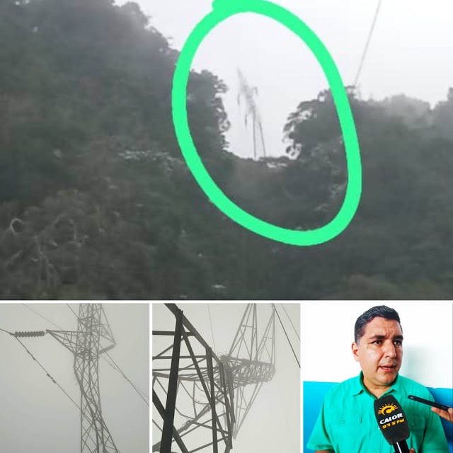 Caída de árbol en una torre generó cortes de energía eléctrica