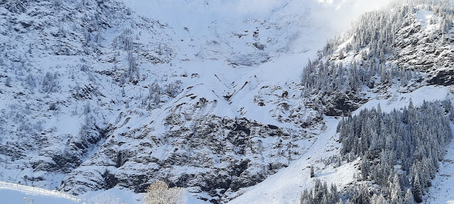 Valanghe di slittamento sui pendii ripidi esposti a sud sopra Pill - Moso in Passiria (Foto: 04/11/2021, Stefan Ennemoser)