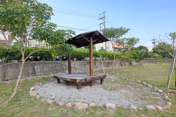 台中霧峰北峰公園洋紅風鈴木盛開好夢幻，愛心水池約會好去處