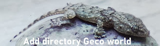 Directory Geco