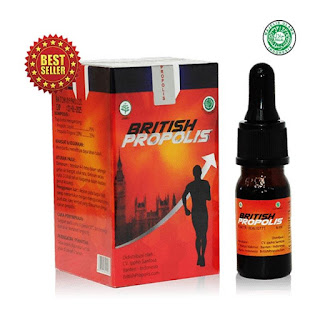 british propolis pati jawa tengah
