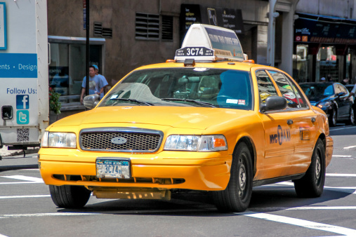 maxi taxi services