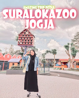 Mengabadikan Momen Suralokazoo Yogyakarta