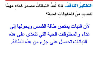 لماذا تعد النباتات مصدر غذاء مهما للعديد من المخلوقات الحية