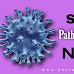 Pathophysiology | B pharmacy Semester 2 free notes 