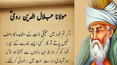 Maulana Rumi Quotes In Urdu