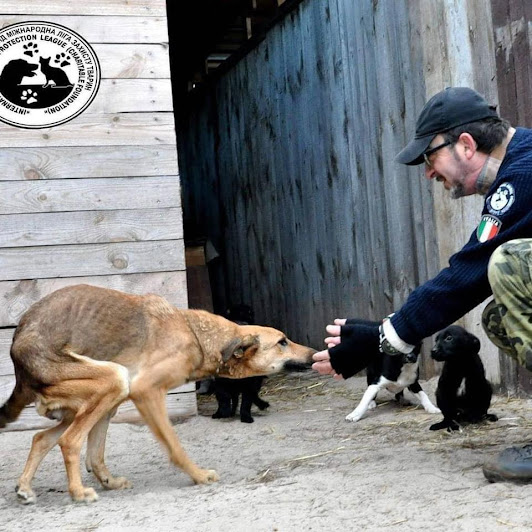 Ukraine- Un italien refuse de quitter son refuge à Kiev et abandonner ses animaux